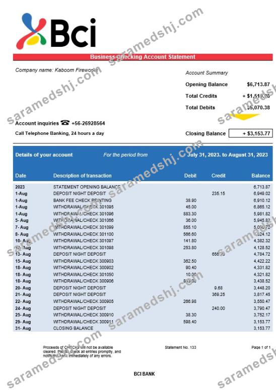 BCI Bank company account statement Word and PDF template